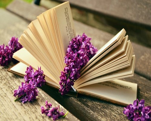Person holding an open book near a bright window with natural light